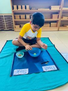 328800267 507584754829280 6493450053803116511 n