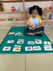 328838478 503118918635955 489432189583529694 n