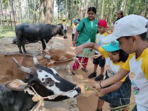 330914403 5781848125246929 910897000808453737 n