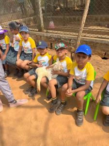 331019238 2999663923674838 1534928941279028187 n