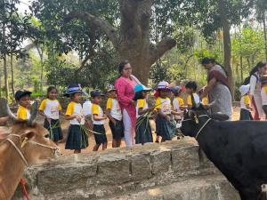 331033618 862896208109347 5874628744118494387 n