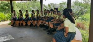 354452883 645961820886693 6506497665607057843 n