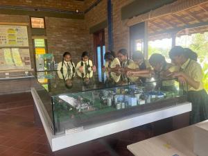 354456403 645960450886830 2149993999176017331 n