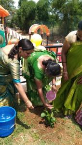 354529983 645959140886961 7829468147150181186 n-1