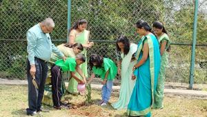 354547056 645959564220252 4537018786706977151 n