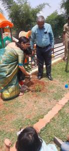 354602321 645959214220287 2983604303907498984 n-1