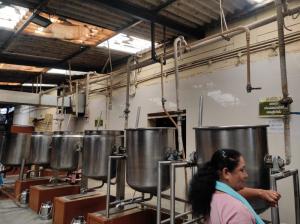 357419548 655806833235525 7415742815698044861 n