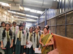 357729436 655806926568849 4906582615596187535 n