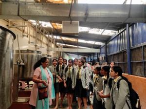 357778303 655806816568860 795320826461510245 n