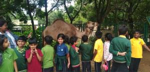 360096887 665478602268348 9045979725658143773 n