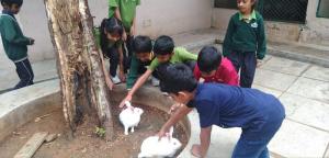 360121481 665478488935026 1518915429201524940 n