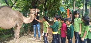 361937326 665478505601691 5981347796942699369 n