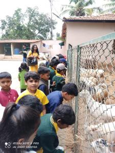 361951298 665478712268337 1700038410444401412 n