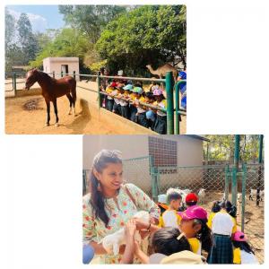 428246484 786257190190488 6494933530263099773 n