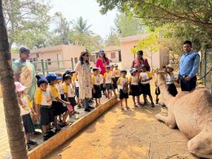 428259449 786255876857286 7666426533449094821 n