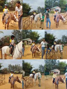 428263257 786257003523840 2632071498613417610 n