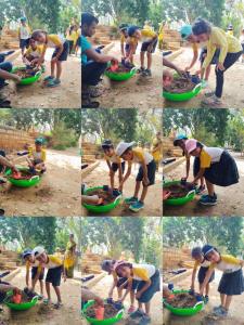 428264988 786257073523833 680739500632911721 n