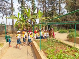 428275561 786256263523914 5859157004510452826 n