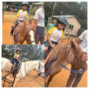 428280780 786257213523819 2858191984621212837 n