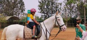 428281856 786255393524001 8074752599641110732 n