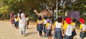 428302921 786255533523987 8961694351565528616 n