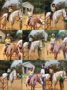 428305151 786257030190504 3119001271735378967 n