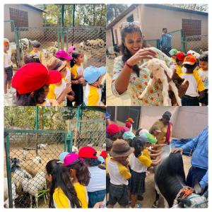 428329951 786257163523824 8444742859908190097 n