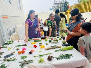 477721005 1026918012791070 4357065032856007930 n