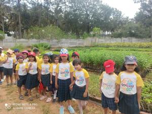 477734814 1028165609332977 1596058231128777222 n