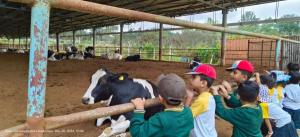 Trip-10 (1) (1) (1) (1)