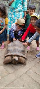 Trip-13 (1) (1) (1) (1)